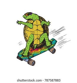 Cartoon character turtle in glasses colorful skateboard  hand drawn doodle sketch  isolated vector color illustration