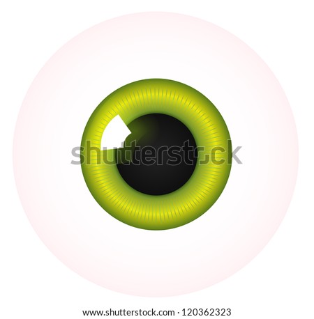 Cartoon Character Vector Eye Isolated on White Background. Vector EPS 10.