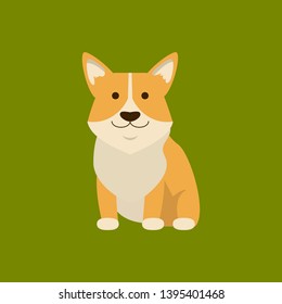 Cartoon Character Welsh Corgi on a Green Domestic Pet Concept Element Flat Design Style. Vector illustration