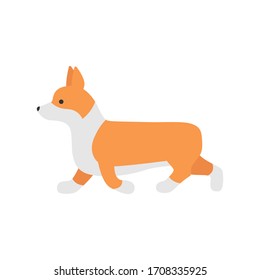 Cartoon Character Welsh Corgi Running View Domestic Pet Concept Element Flat Design Style isolated on white background