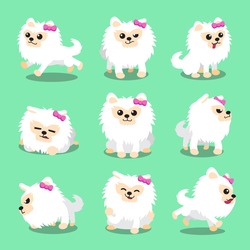 Cartoon Character White Pomeranian Dog Poses