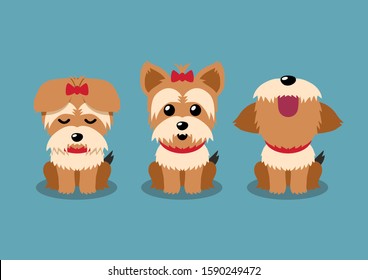 Cartoon character yorkshire terrier dog poses set for design.