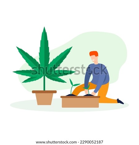 Cartoon character of young man growing cannabis at home. Supporting legality of cannabis. Marijuana cultivation and legalization business startup. Vector