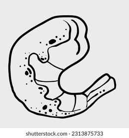 Cartoon characters cute sea animals and seafood outline clipart graphic hand printing 