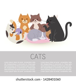 Cartoon characters cute tabby cats vector illustration isolated on a whitei with space for text. Domestic pets concept. Pussicat, tomcat, kitten and kitty playing with wool, sleeping and washing.
