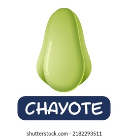 cartoon chayote vegetables vector isolated on white background