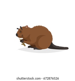 Cartoon cheerful beaver with piece of wood. Forest Europe and North America animal. Flat with simple gradients trendy design. Education vector illustration.