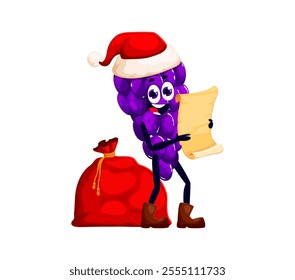 Cartoon cheerful Christmas holiday grapes fruit Santa character with gifts bag reading scroll with the wishes. Isolated vector New year fruit personage wear father Noel hat holding long parchment list