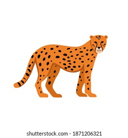 Cartoon cheetah on a white background.Flat cartoon illustration for kids.