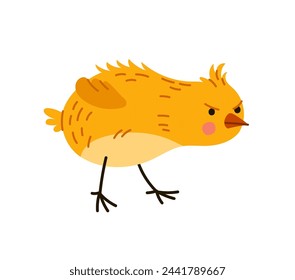 Caricatura de polluelo se preparan para luchar con un espíritu luchador listo para el ataque. Personaje aislado del pequeño pájaro del gallo del vector con las plumas amarillas fluff con la determinación y pico preparado para la batalla