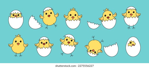 Cartoon chick and egg, Easter chicken vector icon, baby bird with shell, yellow little animal character set. Cute illustration on blue background