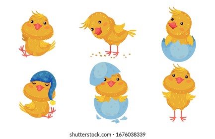 Cartoon Chicken Character Picking Grain and Wearing Sleeping Hat Vector Set