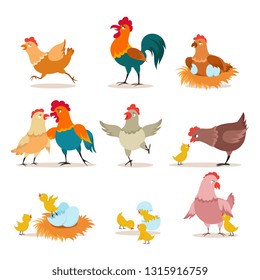 Cartoon chicken. Chick with eggs, hen and rooster. Happy christmas chicken, domestic birds and valentine pets vector characters