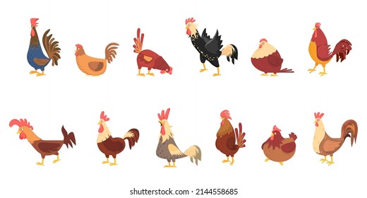 Cartoon chicken. Cute chickens, domestic birds. Isolated rooster, hen and chick. Farm funny emotional animals, easter decent vector characters