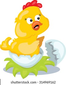 cartoon chicken in an egg