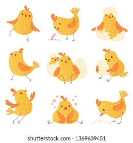 Cartoon chicken. Egg cute yellow little farm birds funny chick vector characters collection
