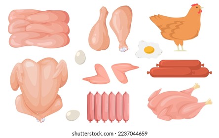 Cartoon chicken fresh raw meat vector set. Variety of uncooked poultry organic food for barbecue illustration. Whole hen, fillet, wings, sausages, eggs, drumstick isolated on white