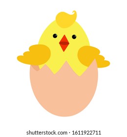 Cartoon chicken . Funny yellow bird, vector illustration. Hand drawn isolated on white. Cute Easter chick. For print cup, textile, wallpaper, banner, fabric, web, scrapbook, cover of notebook