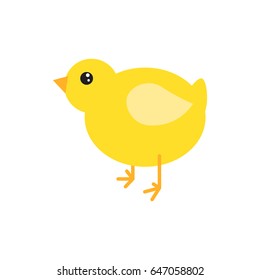 Cartoon chicken vector illustration. Yellow chick bird isolated on white.