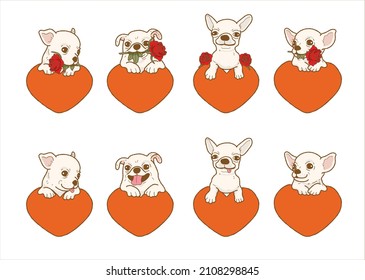 Cartoon chihuahua dog holding red rose flower in mouth with heart, Lovely dog in love on valentines day gives gift illustration