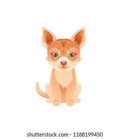 Cartoon chihuahua dog icon. Cute pet puppy vector illustration isolated on white background. Flat symbol for logo, design,animal concept.