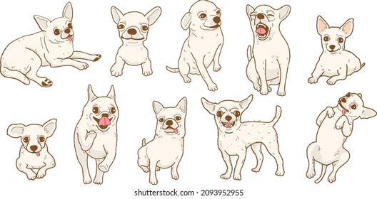 Juego de ilustraciones de perros chihuahua