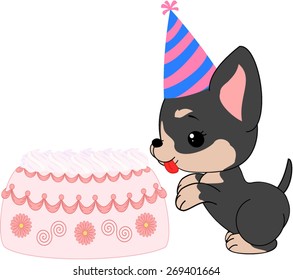 Cartoon chihuahua girl puppy with birthday cake.

