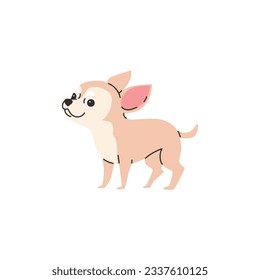 Caricatura de Chihuahua raza pura raza de perro peludo, mejor mascota. Pequeña luz sonriente suave chihuahua ilustración vectorial aislada en fondo blanco