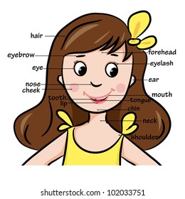 Cartoon child. Girl. Vocabulary of face parts. Vector illustration.