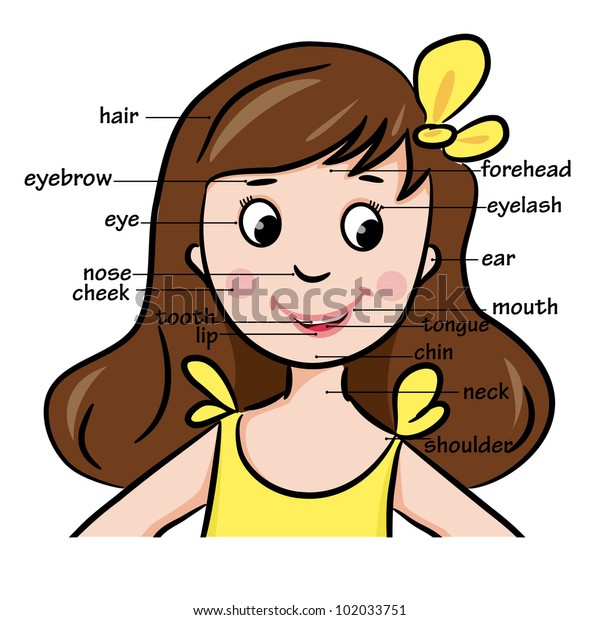 Cartoon Child Girl Vocabulary Face Parts Stock Vector (Royalty Free ...