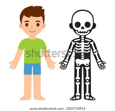 Cartoon child skeleton anatomy chart. Simple flat vector illustration of boy and his bones. Isolated vector clip art.