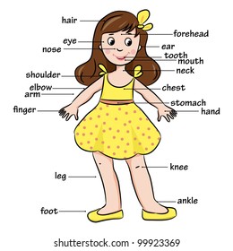 Cartoon child. Vocabulary of body parts. Vector illustration.