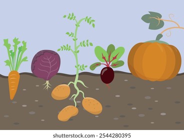 Ilustración vectorial infantil de dibujos animados de verduras de otoño en el jardín aislado sobre fondo blanco