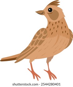 ilustração de vetor infantil de desenho animado de skylark eurasiático isolado sobre fundo branco