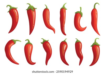 Cartoon chilli peppers. Red hot peppers, harvest fresh vegetables. Raw ingredients for cooking, cut vitamin salad, pizza. Spice mexican, nowaday vector set