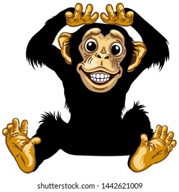 cartoon chimp ape or chimpanzee monkey smiling cheerful with a big smile on face showing teeth. Positive and happy emotion. Sitting pose. Front view. Isolated vector illustration