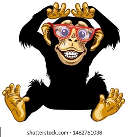 cartoon chimp ape or chimpanzee monkey with glasses smiling cheerful with a big smile on face showing teeth. Positive and happy emotion. Sitting pose. Front view. Isolated vector illustration