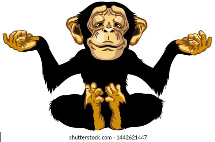 cartoon chimp great ape or chimpanzee monkey sitting in lotus yoga position and meditating. Calm and peaceful emotion. Front view. Isolated vector illustration 