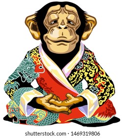 cartoon chimp great ape or chimpanzee monkey wearing red kimono robe and sitting in lotus yoga pose. Meditating calm and peaceful emotion. Front view. Isolated vector illustration 