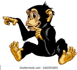 Cartoon chimp great ape or chimpanzee monkey touching or pointing to something with finger.  Positive and happy emotion. Sitting pose. Isolated vector illustration