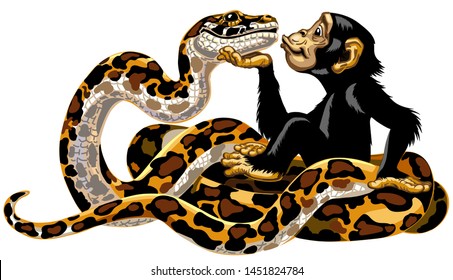 Cartoon chimpanzee and python snake friendship. Great ape or chimp monkey holding a head of charming big boa and sending air kiss. Cheerful and attractive emotion. Isolated vector illustration