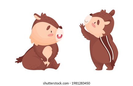 Cartoon Chipmunk with Striped Back Sitting and Standing Vector Set