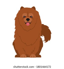cartoon chow chow dog icon over white background, flat style, vector illustration