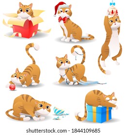 Cartoon christmas cat. The cat plays with a box and a ball. Illustration of a cute cat for Christmas and New Year. The cat jumps out of the box. Vector illustration