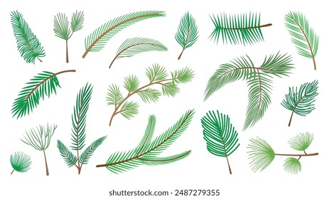 Ramas de árbol de navidad de dibujos animados. Abeto de cedro de pino, rama de árboles de hoja perenne del bosque. Elementos de Naturaleza para vacaciones de año nuevo y de invierno conjunto de Vector neoteric