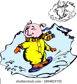 Cartoon Chubby pig-snowboarder goes down the mountain on the puffy snow. Coloring book.