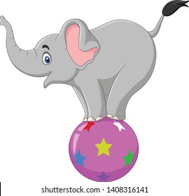 Cartoon circus elephant standing on a ball 