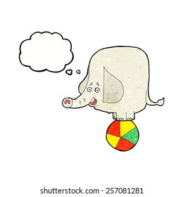 Cartoon Circus Elefant mit Denkblase