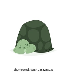 Cartoon cite turtle. Tortoise pretty character sleeping in tortoise-shell. Illustration isolated on white background. Save turtles concept. Postcard, print, placard design