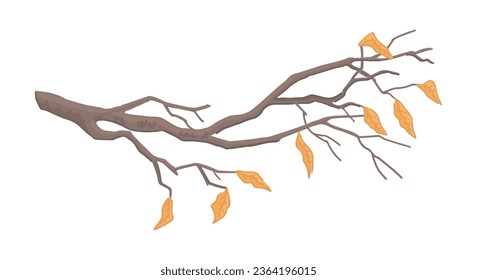 Cartoon clipart of bare branch. Doodle of tree branch with fallen leaves. Contemporary vector illustration isolated on white background.